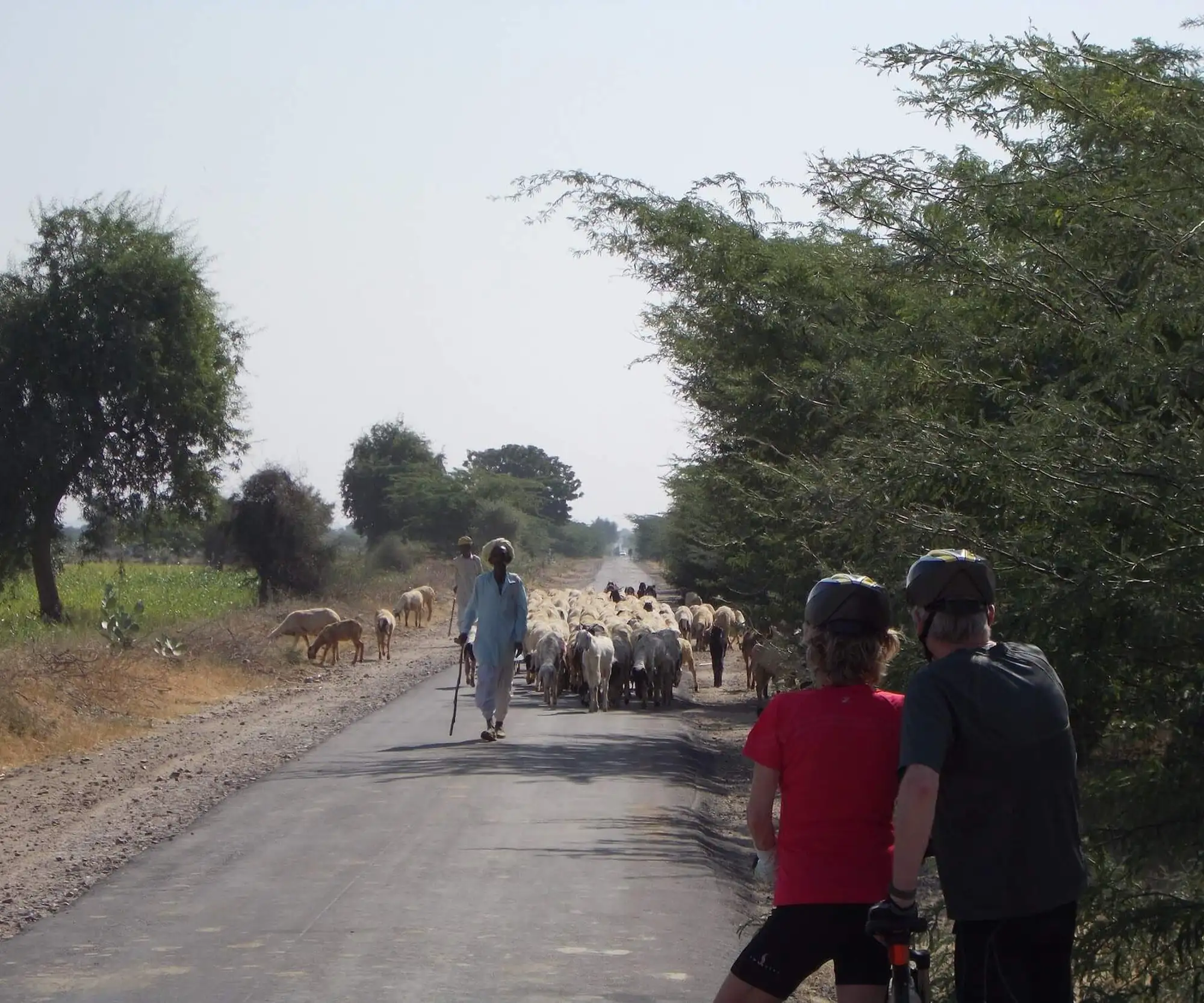 Rural Rajasthan Cycling Tour 11 Days